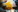 Der Bringer des Lichts 3